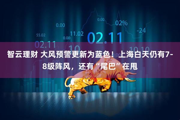 智云理财 大风预警更新为蓝色！上海白天仍有7-8级阵风，还有“尾巴”在甩