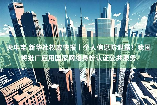 天牛宝 新华社权威快报丨个人信息防泄露！我国将推广应用国家网络身份认证公共服务