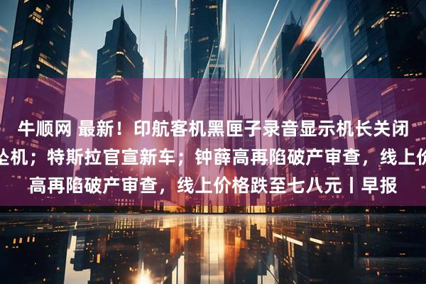牛顺网 最新！印航客机黑匣子录音显示机长关闭燃油开关或直接导致坠机；特斯拉官宣新车；钟薛高再陷破产审查，线上价格跌至七八元丨早报