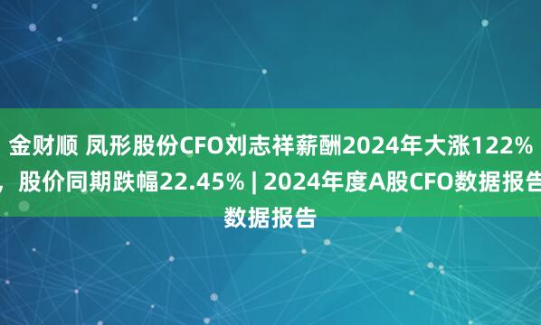 金财顺 凤形股份CFO刘志祥薪酬2024年大涨122%，股价同期跌幅22.45% | 2024年度A股CFO数据报告