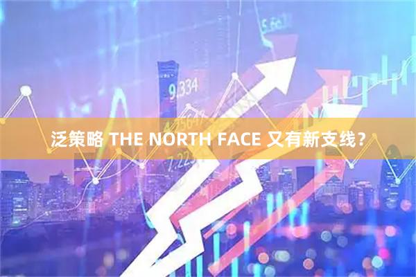 泛策略 THE NORTH FACE 又有新支线？