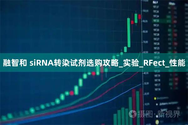 融智和 siRNA转染试剂选购攻略_实验_RFect_性能
